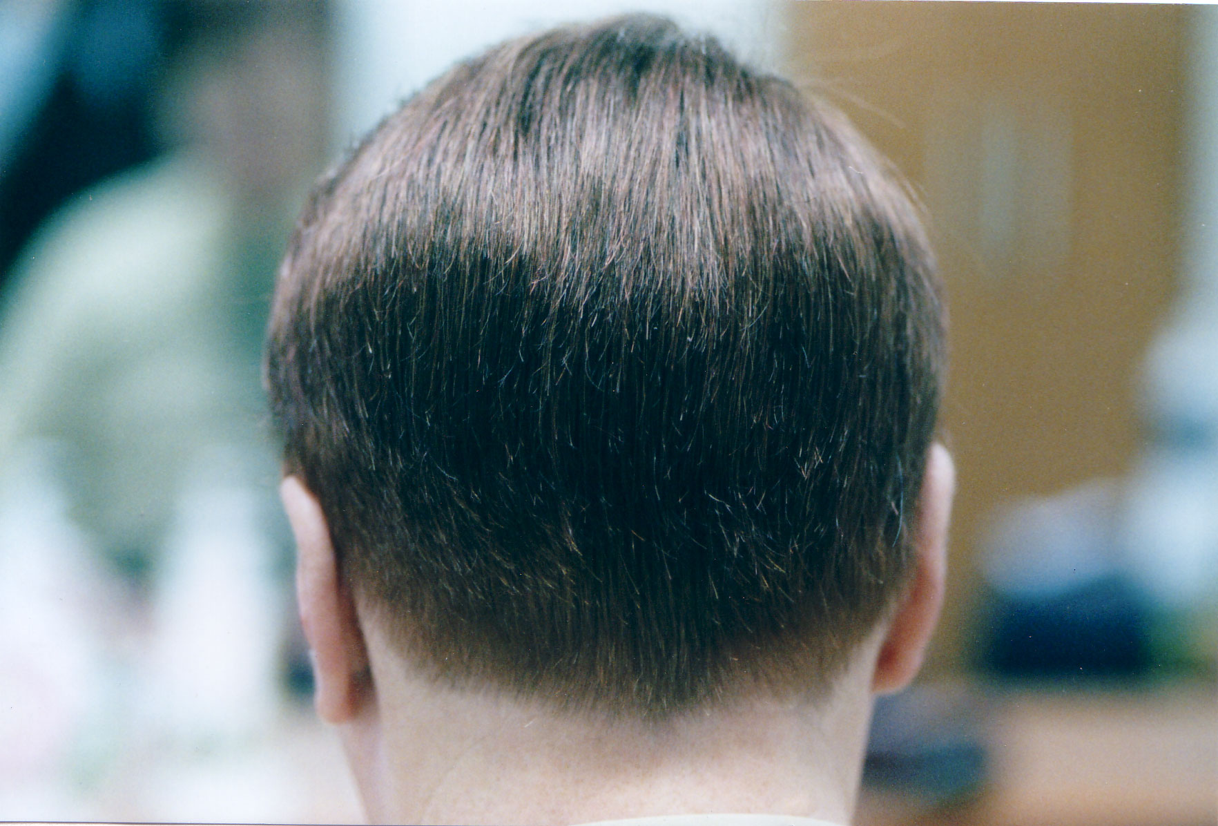 9763_copy_9767_2944258182_yHRxrfeG_37a1a4906454371c94a1ecf6d02c520e0752d3fe.jpg 이미지크게보기